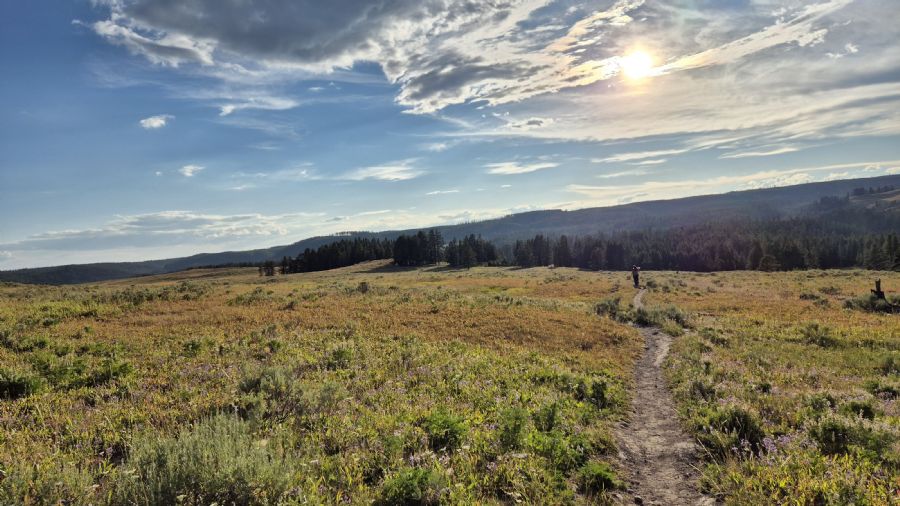 הגראנד קניון של ילוסטון